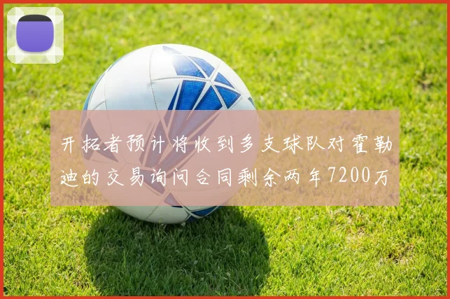 开拓者预计将收到多支球队对霍勒迪的交易询问合同剩余两年7200万